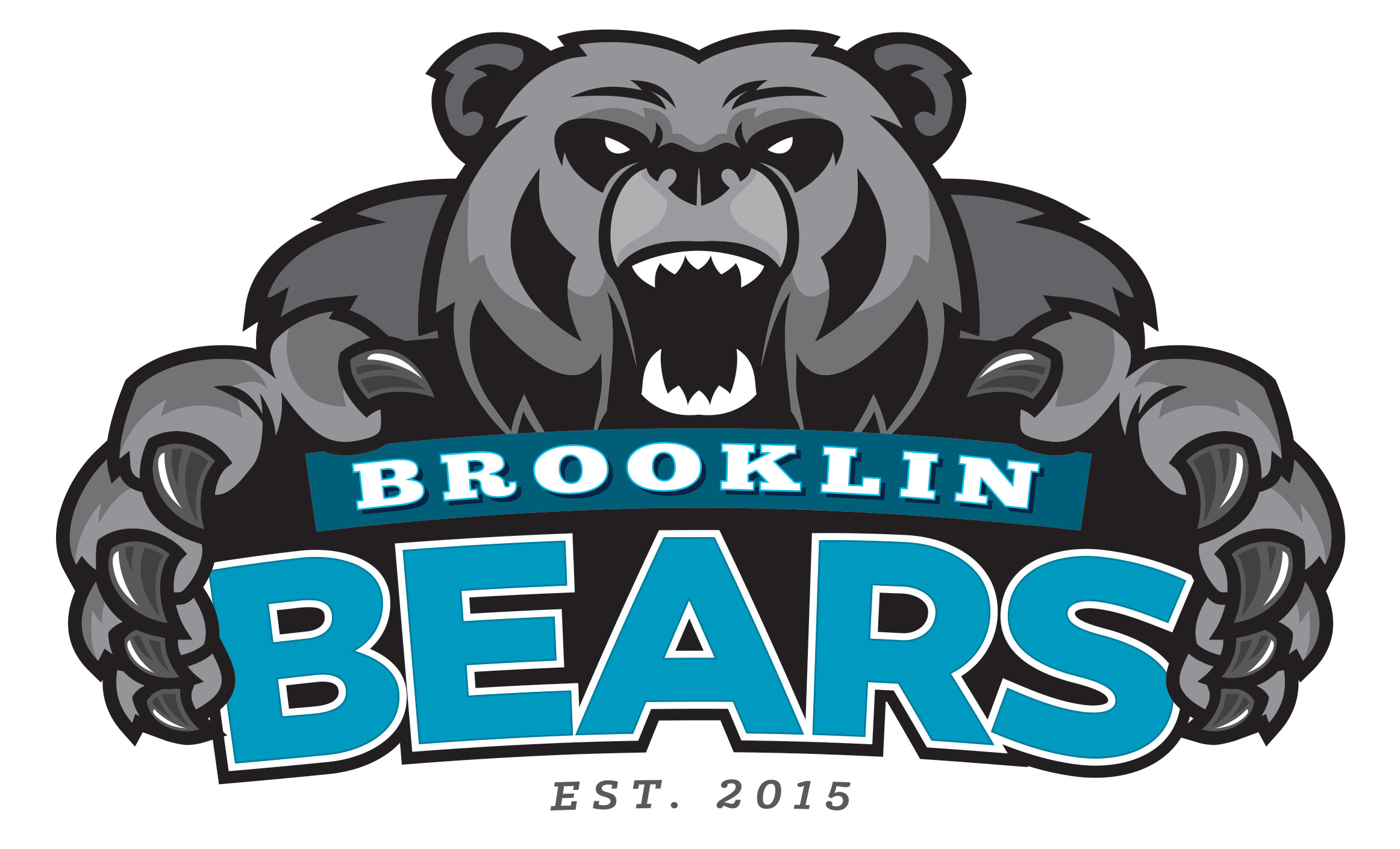 Brooklin High School logo